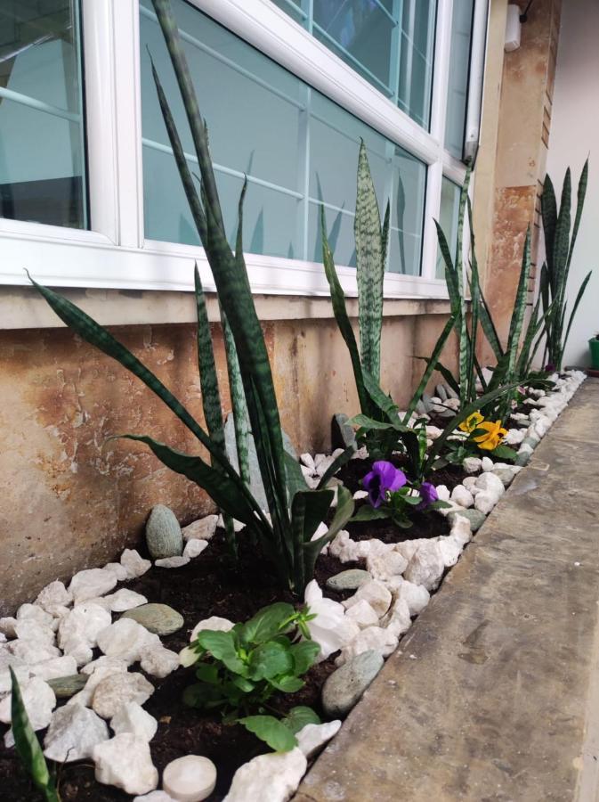 Hotel Montefiore Bogota Bagian luar foto